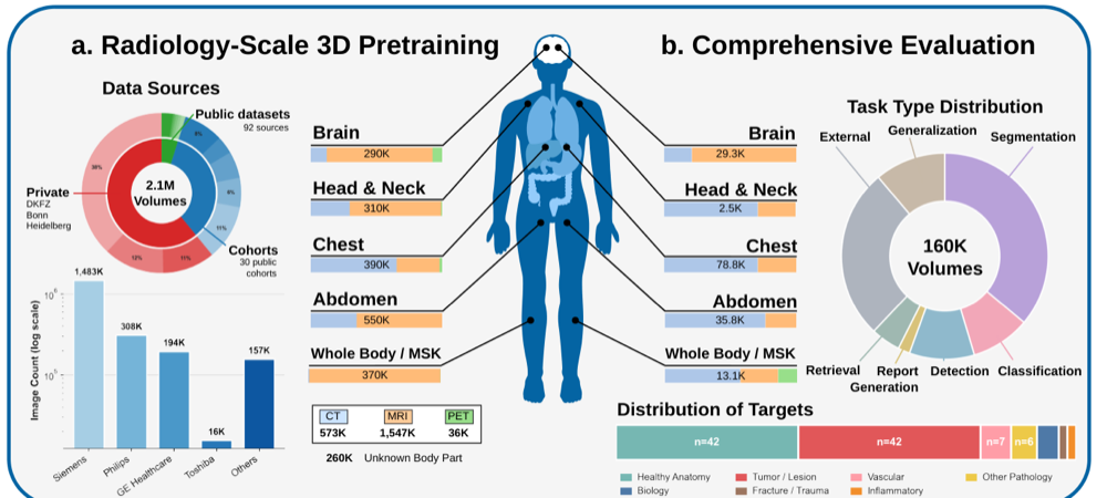 nnFoundation: 3D Foundation Models for Radiology